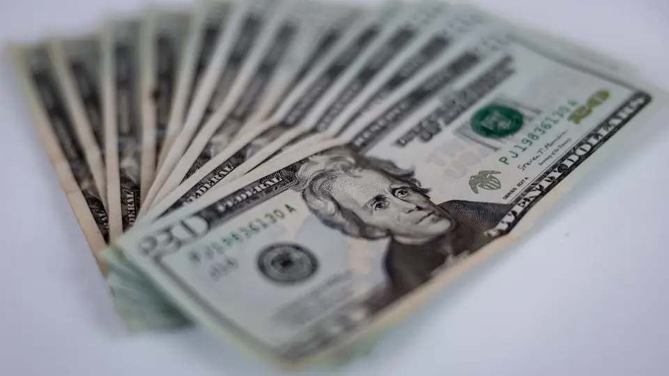 Yelpaze gibi açılmış dolar banknotları